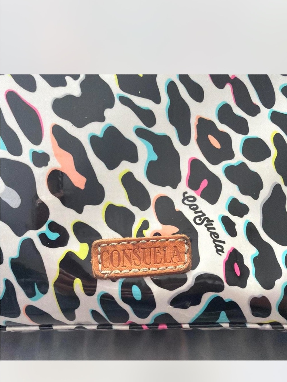 Consuela CoCo Downtown Crossbody Bag with Multicolor Leopard Print - Picture 5 of 7
